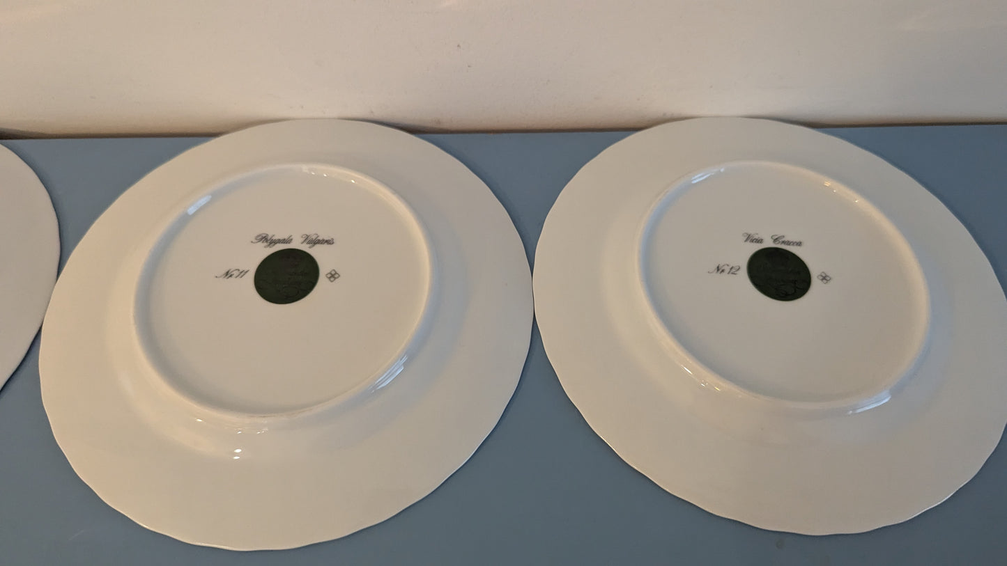 Christineholm Kesäkukat - Kissankello Leipälautanen / Leivoslautanen (12kpl)