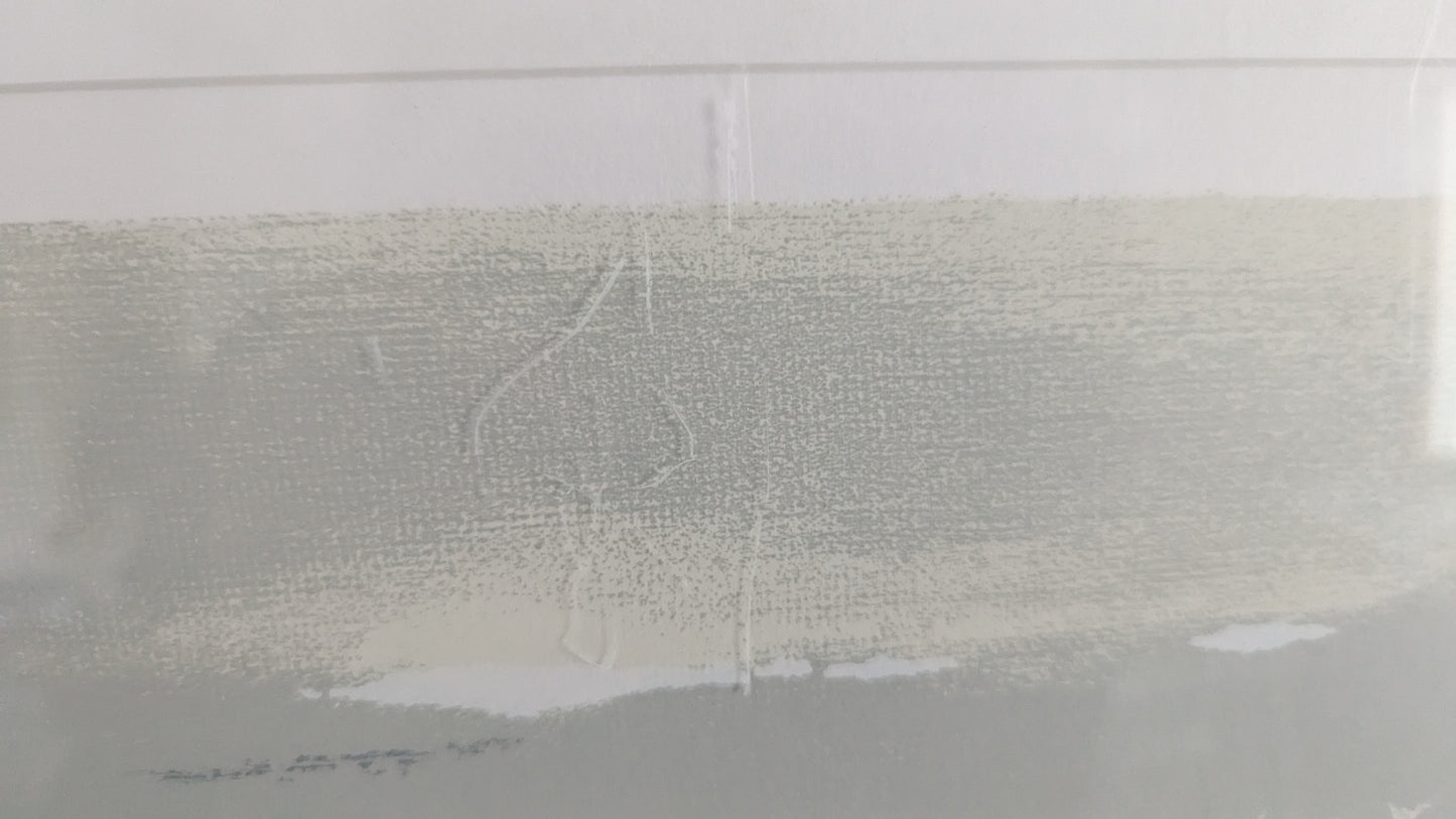 Seppo Polameri - Villihanhet (Signeerattu Grafiikka 2009)