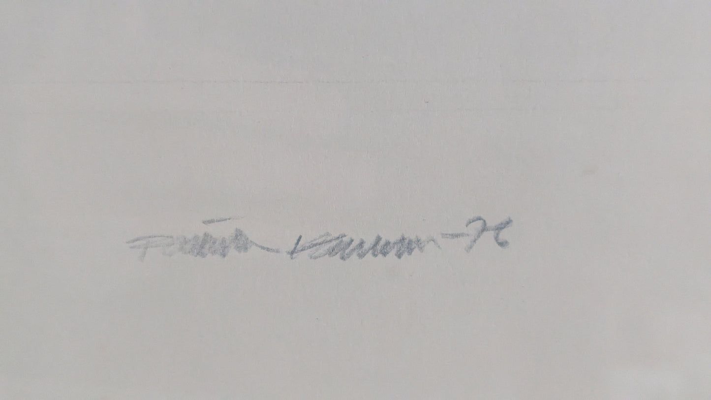 Raimo Kanerva - Signeerattu Sekatekniikka (1976, Uniikki)