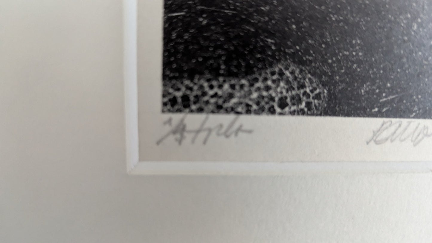 Raimo Kanerva - Signeerattu ja Numeroitu Grafiikka (1/4, 1964)