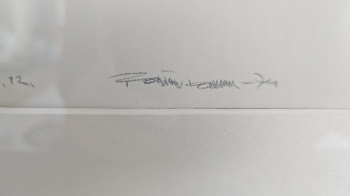 Raimo Kanerva - Signeerattu Sekatekniikka (1974, Uniikki)
