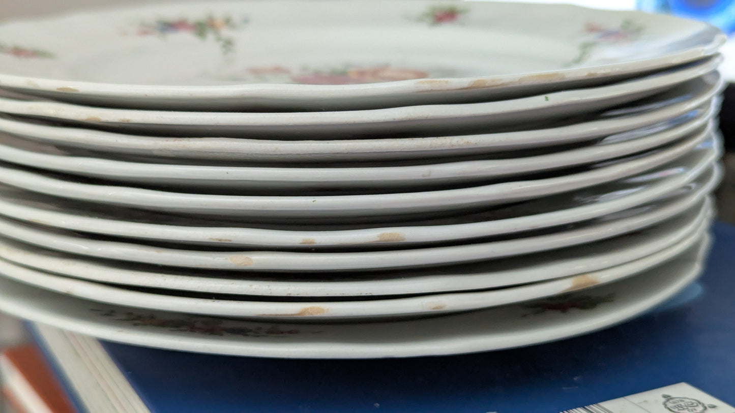 Arabia Hilkka-Liisa Salaattilautanen / Alkuruokalautanen (10kpl, 1950-luku)