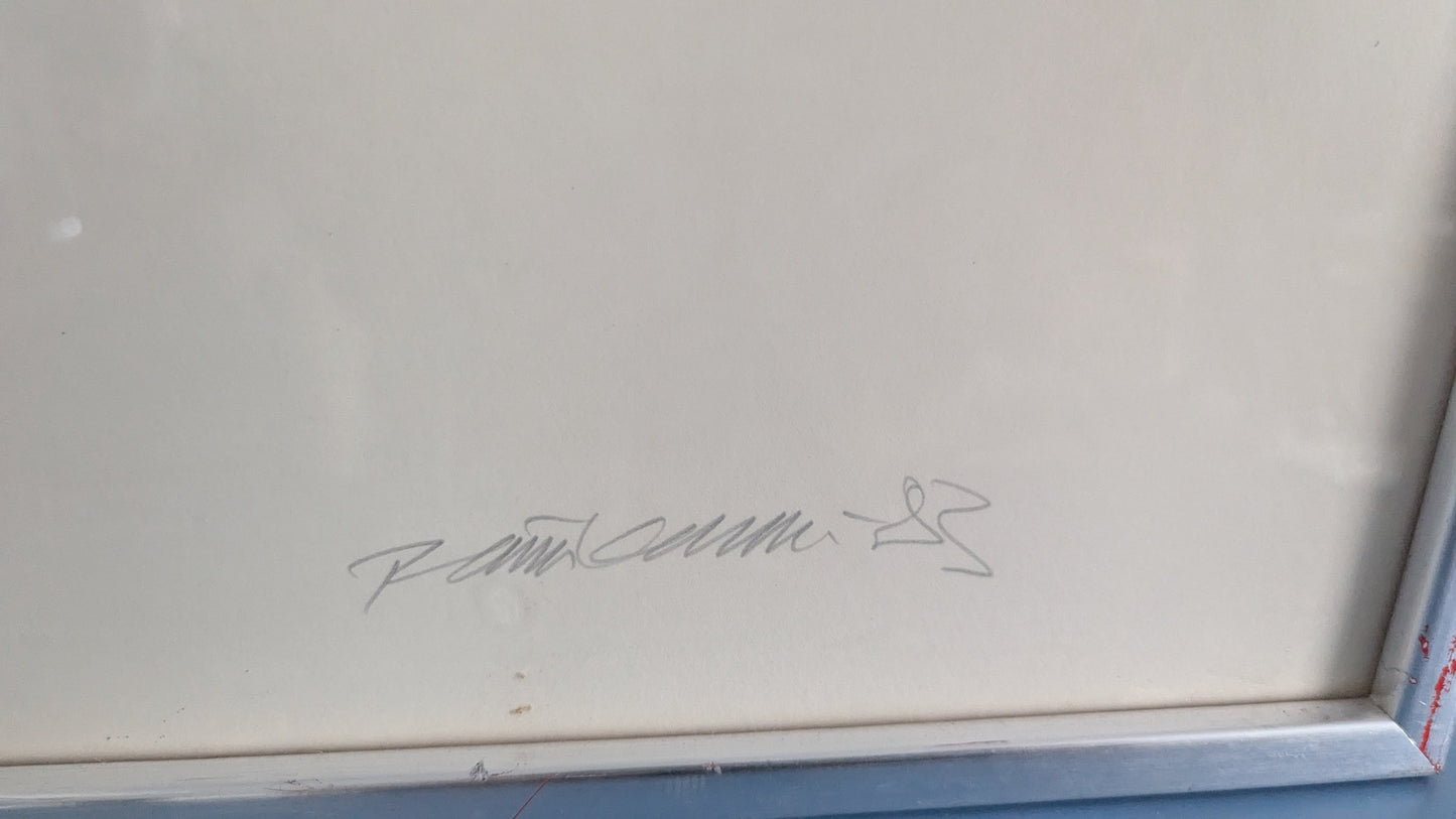 Raimo Kanerva - Signeerattu Grafiikka (1983)