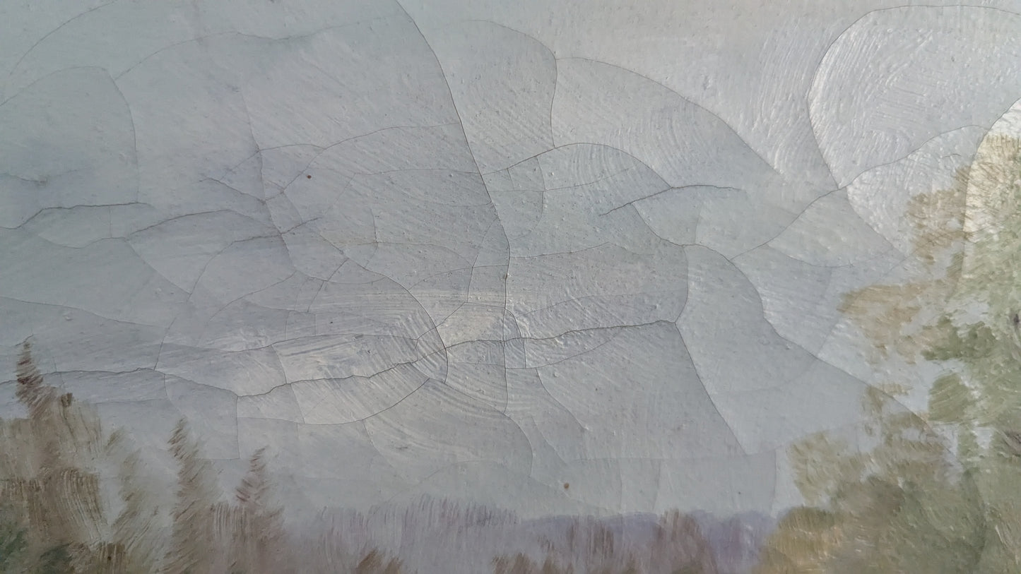 Signeerattu Öljyvärimaalaus Kankaalle