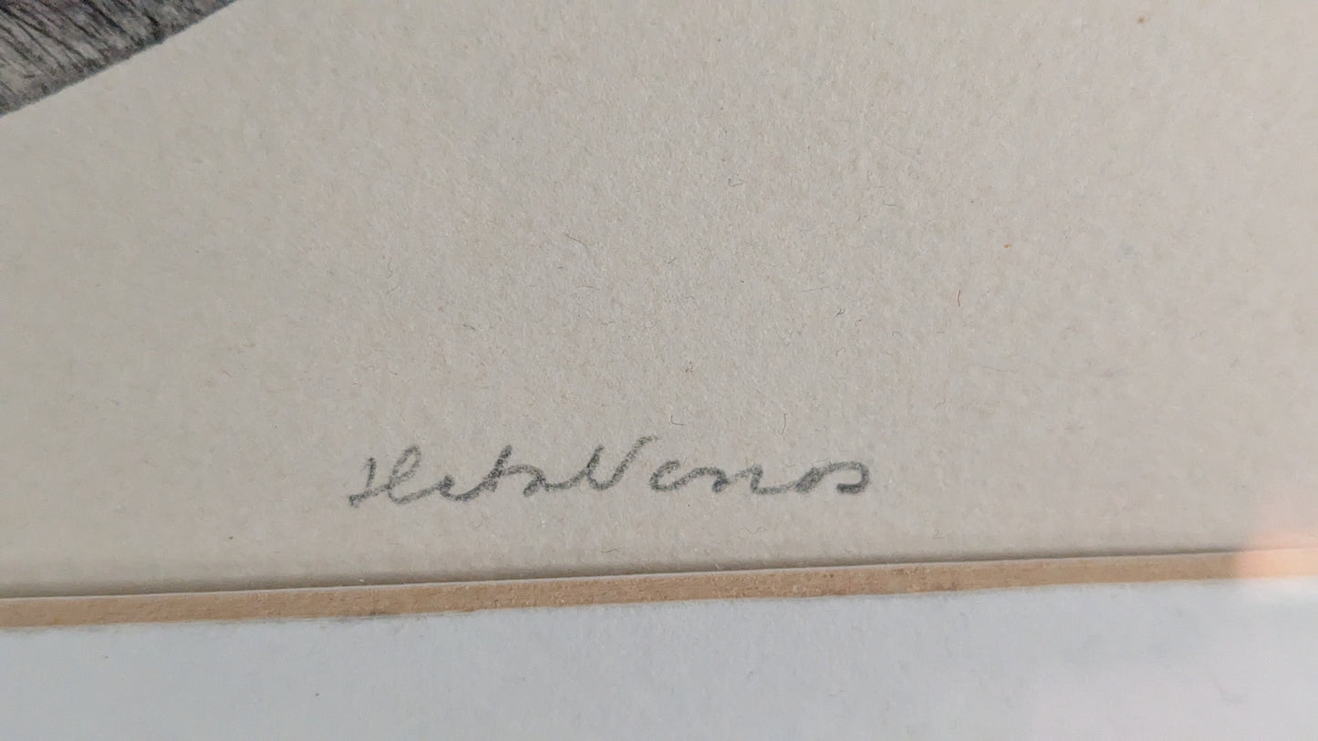 Heta Norros - Signeerattu Grafiikka (7/15)