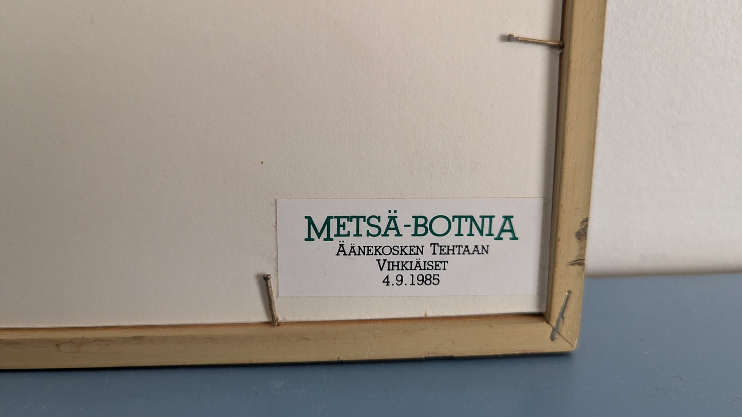 Simo Hannula - Luontoretki (Signeerattu Etsaus 1985, 2/100)