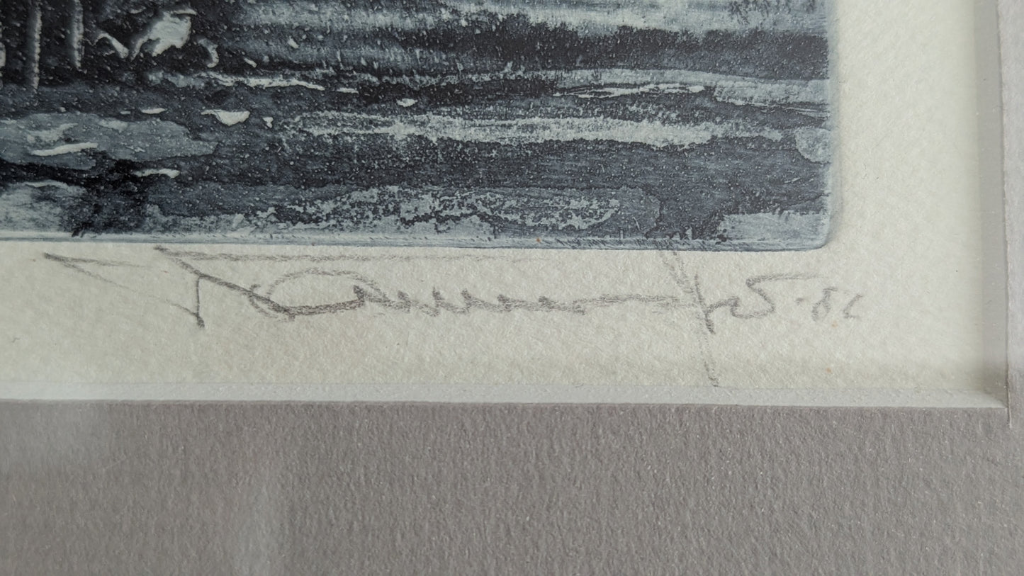 Tapani Tammenpää - Signeerattu Grafiikka (1986, Koevedos)