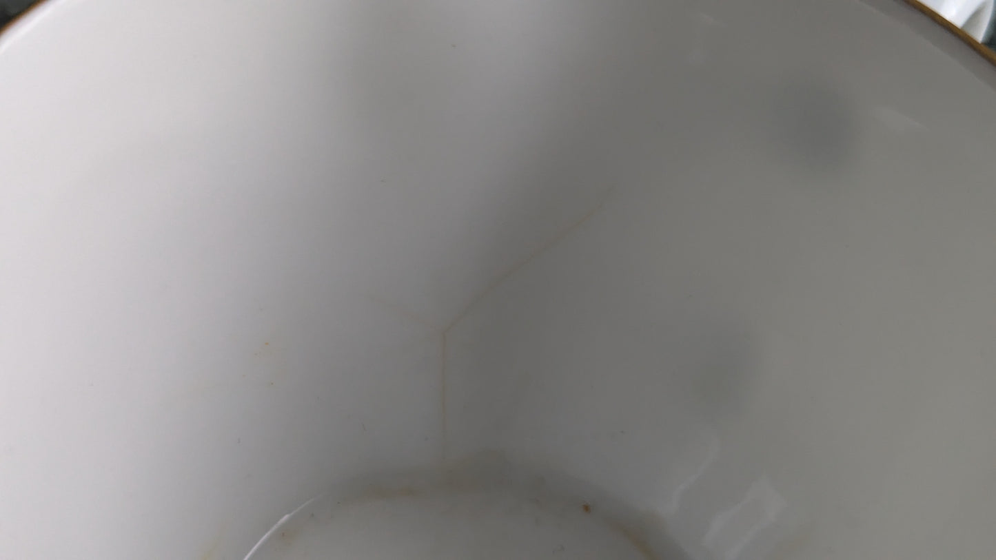 Arabia Z-mallin Puhalluskoristeltu Kahviastiasto Viidelle Hengelle (10-osainen)