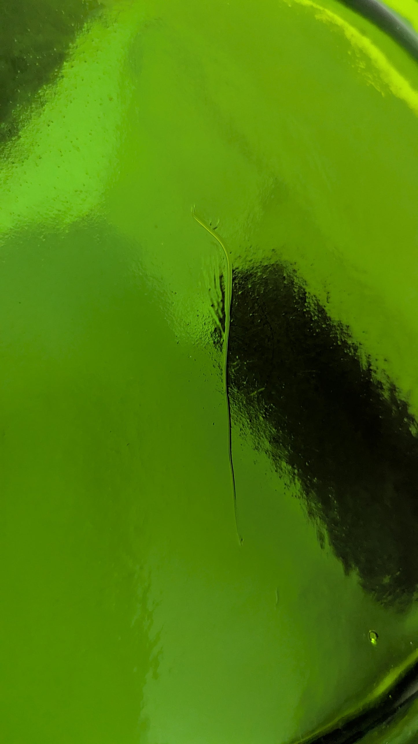 Humppila Talonpoika Ruokalautanen (6kpl, 1972-1987, Vihreä)