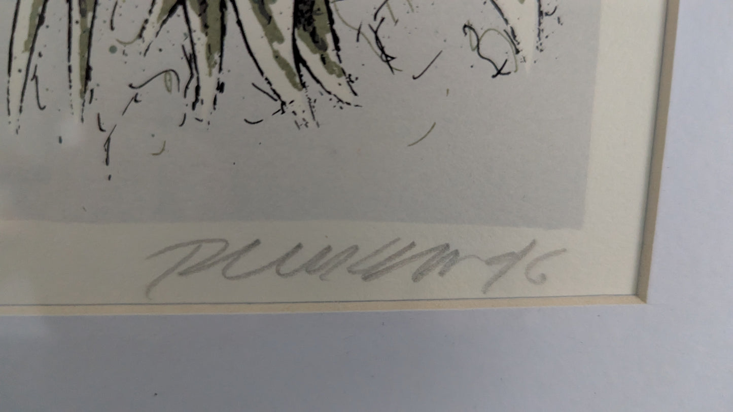 Raimo Kanerva - Signeerattu Grafiikka (1996)