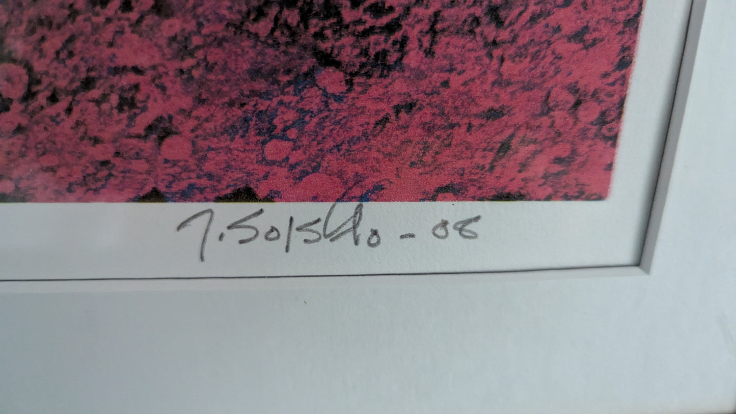 Juha Soisalo - Signeerattu ja Numeroitu 34/100 Grafiikka (2008)