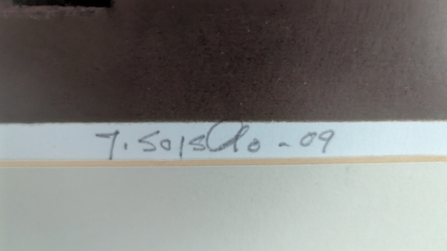 Juha Soisalo - Signeerattu ja Numeroitu 85/100 Grafiikka (2009)