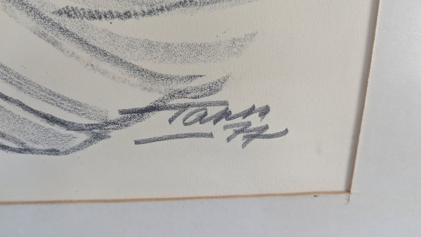 Tapio Tapiovaara - Signeerattu Litografia (1977)