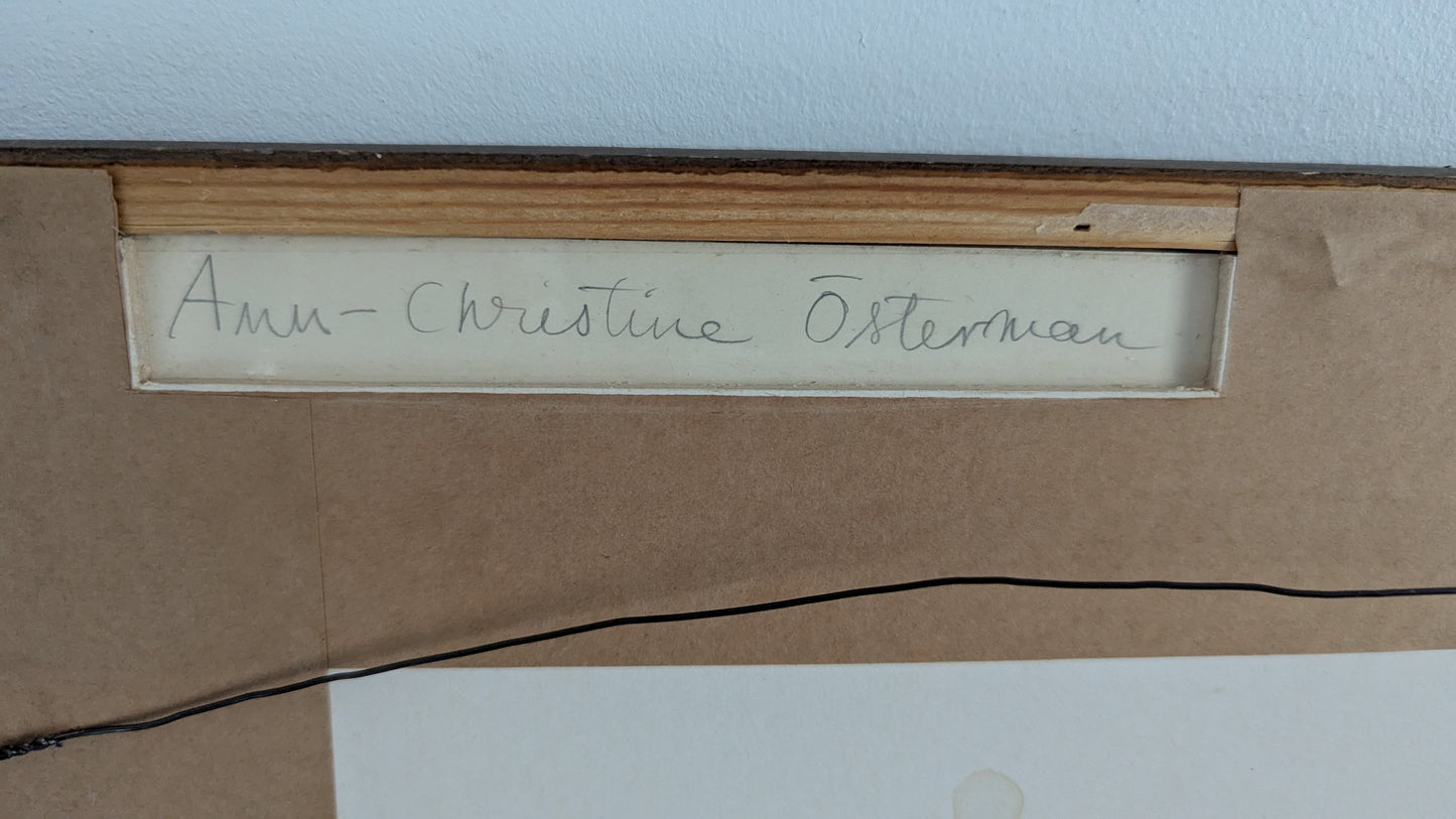 Ann-Cristine Österman - Hundramarksvillorna (Signeerattu Teos, 1979)