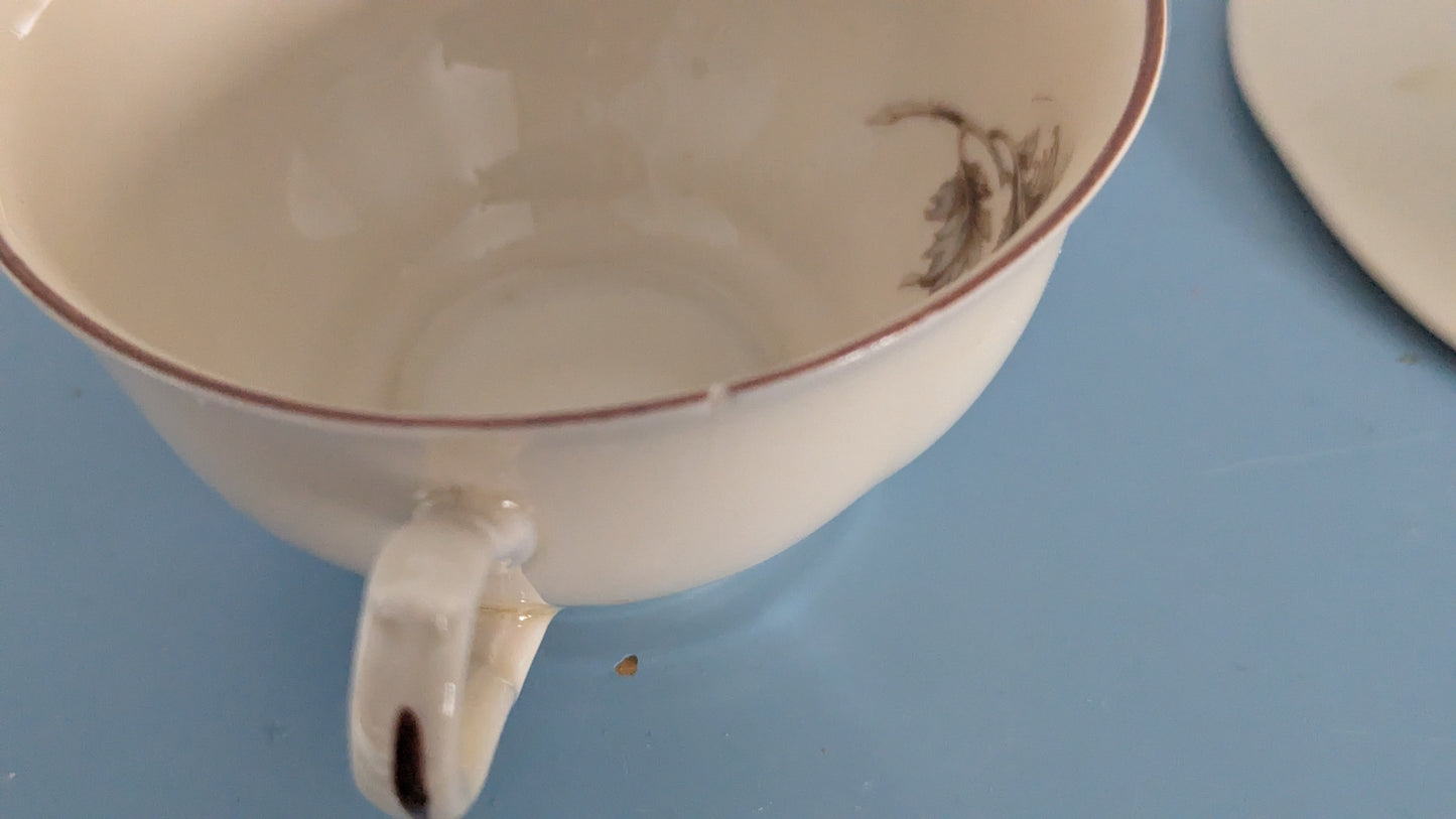 Arabia Asteri Kahviastiasto 11-hengelle (22-osainen, 1932-1949)