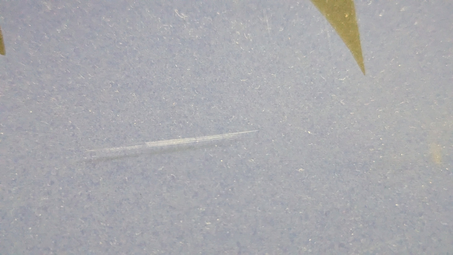 Pauli Vuorisalo - Signeerattu Grafiikka (1987)