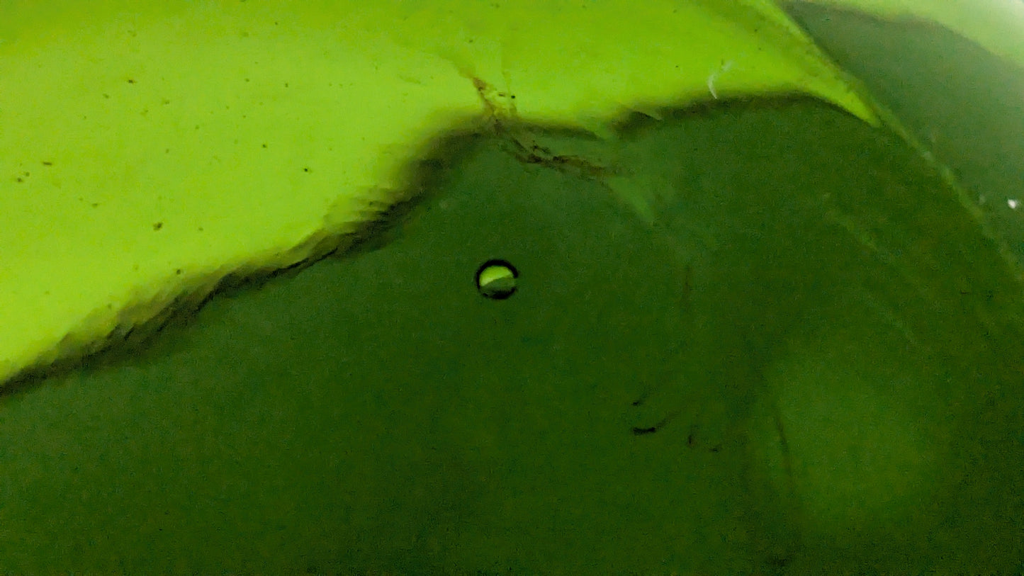 Humppila Talonpoika Kannu (4 Litraa, 1972-1987)