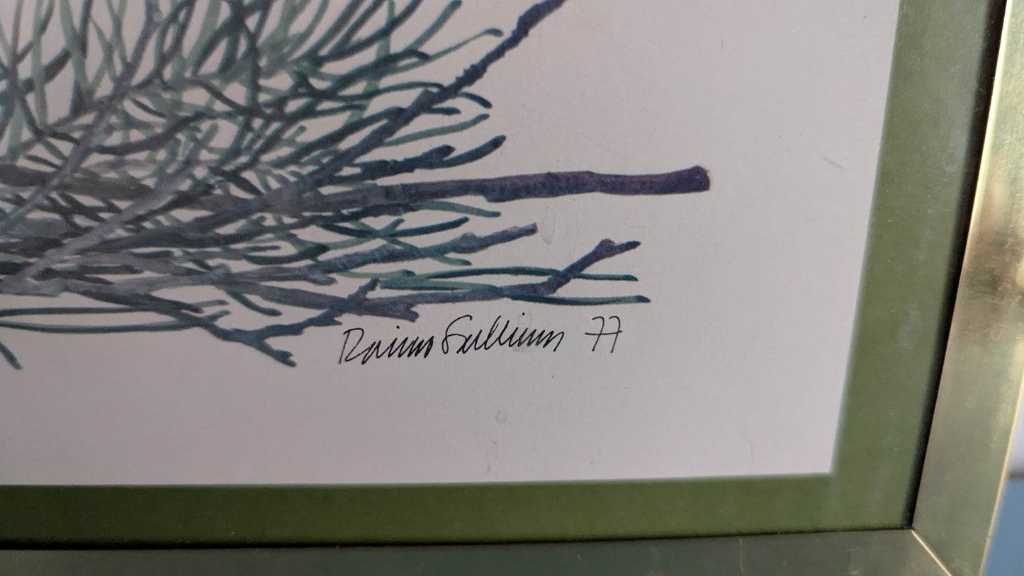 Raimo Sallinen - Metso Taulu (1977)