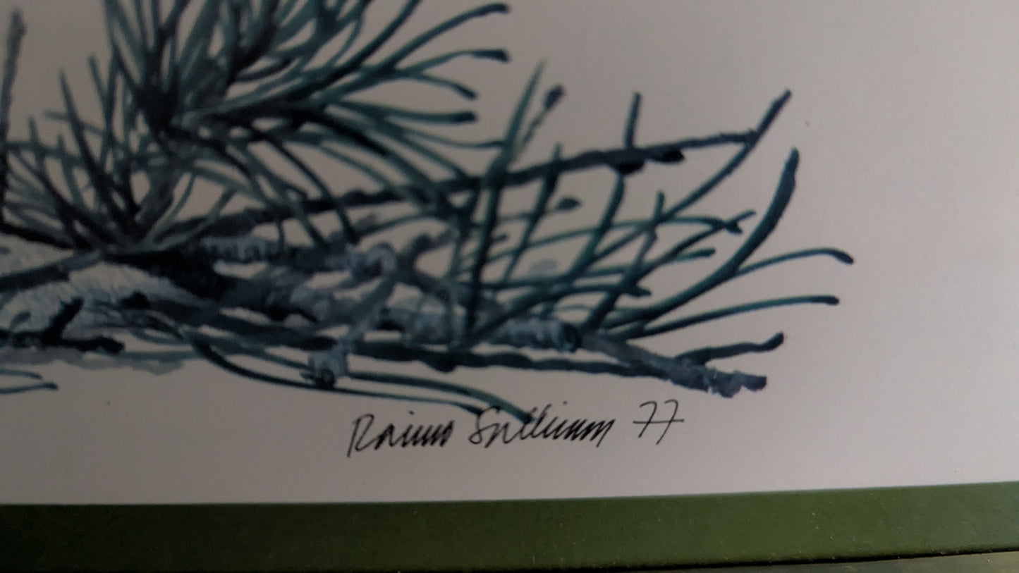 Raimo Sallinen - Koppelo Taulu (1977)