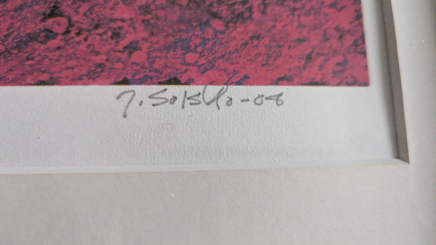 Juha Soisalo - Signeerattu ja Numeroitu 36/100 Grafiikka (2008)