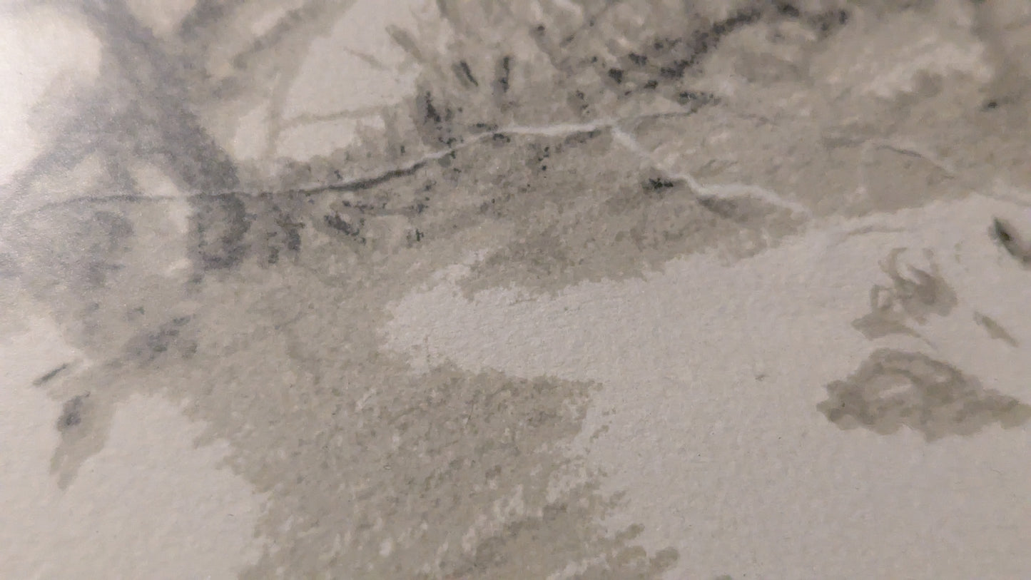 Antti Lampisuo - Signeerattu ja Numeroitu Grafiikka (1975)