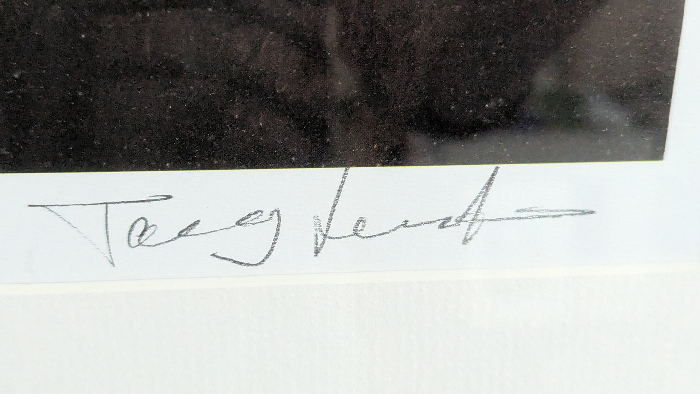 Terry Laakso- Salattu Rakkaus (Signeerattu Grafiikka)