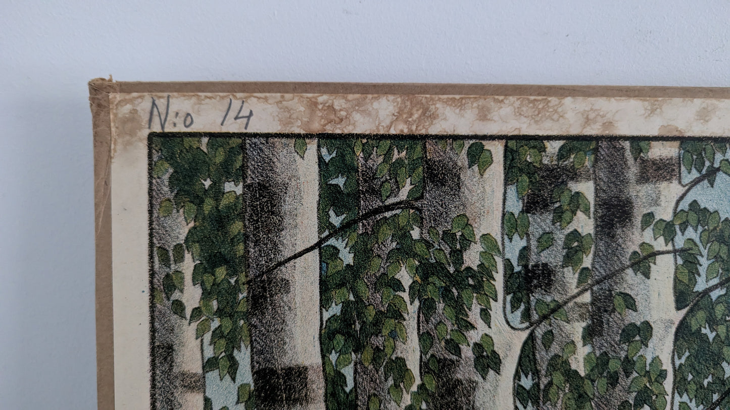 Opetustaulu Koljonvirran Taistelun Muistomerkki Iisalmella (Alexander Paischeff)