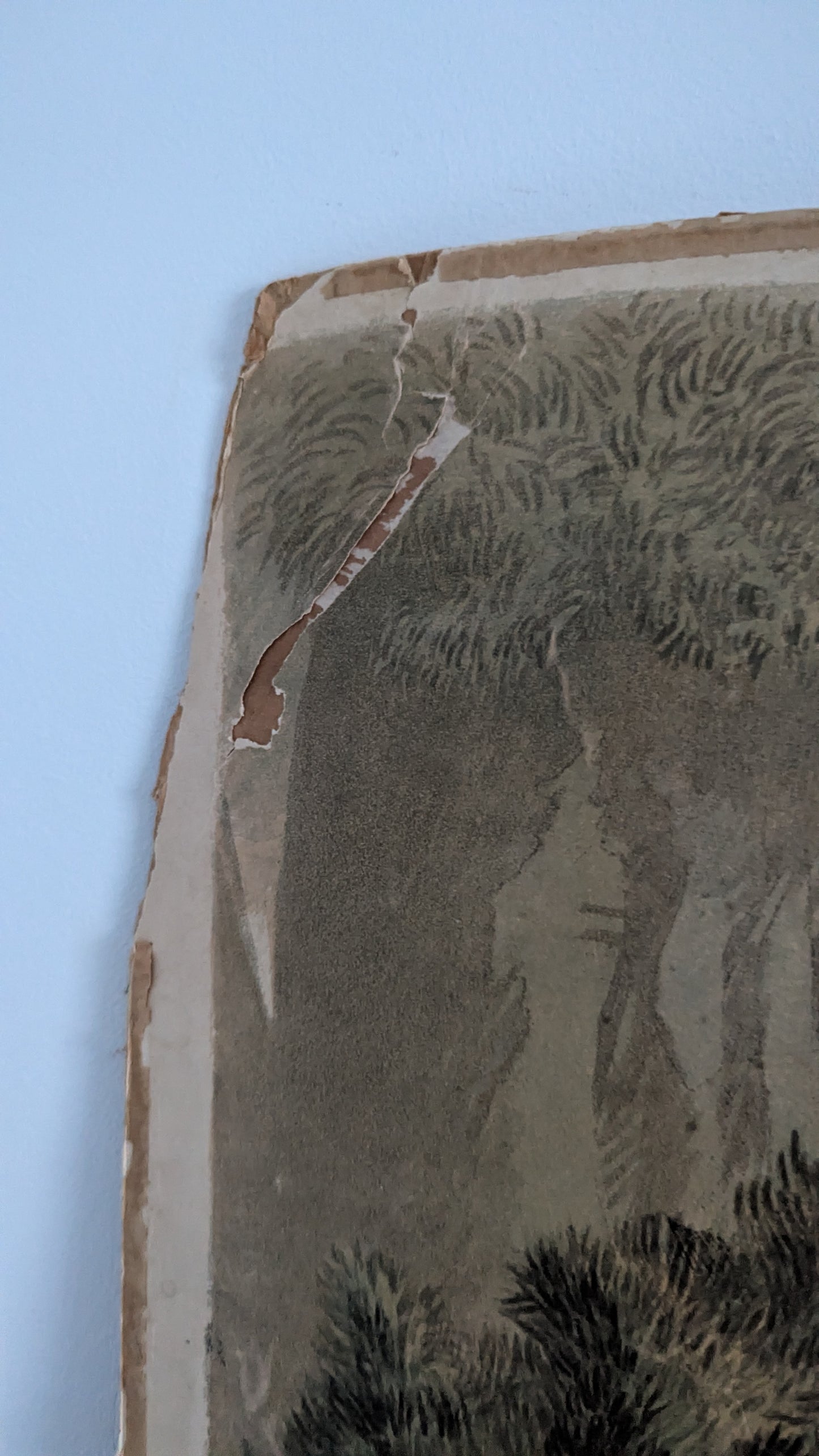 Opetustaulu - Australian Aboriginaalit