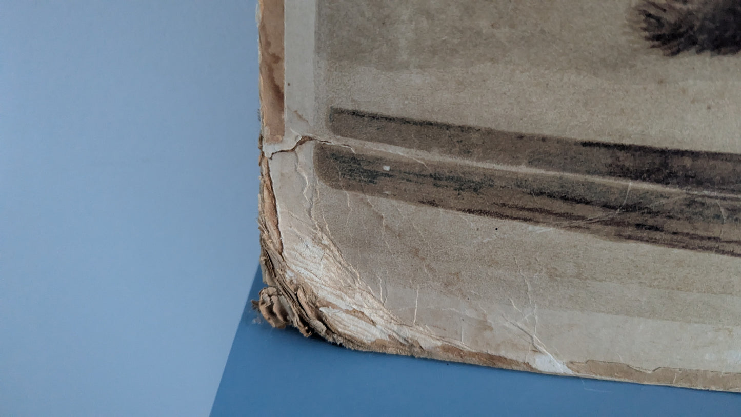 Opetustaulu - Eskimot