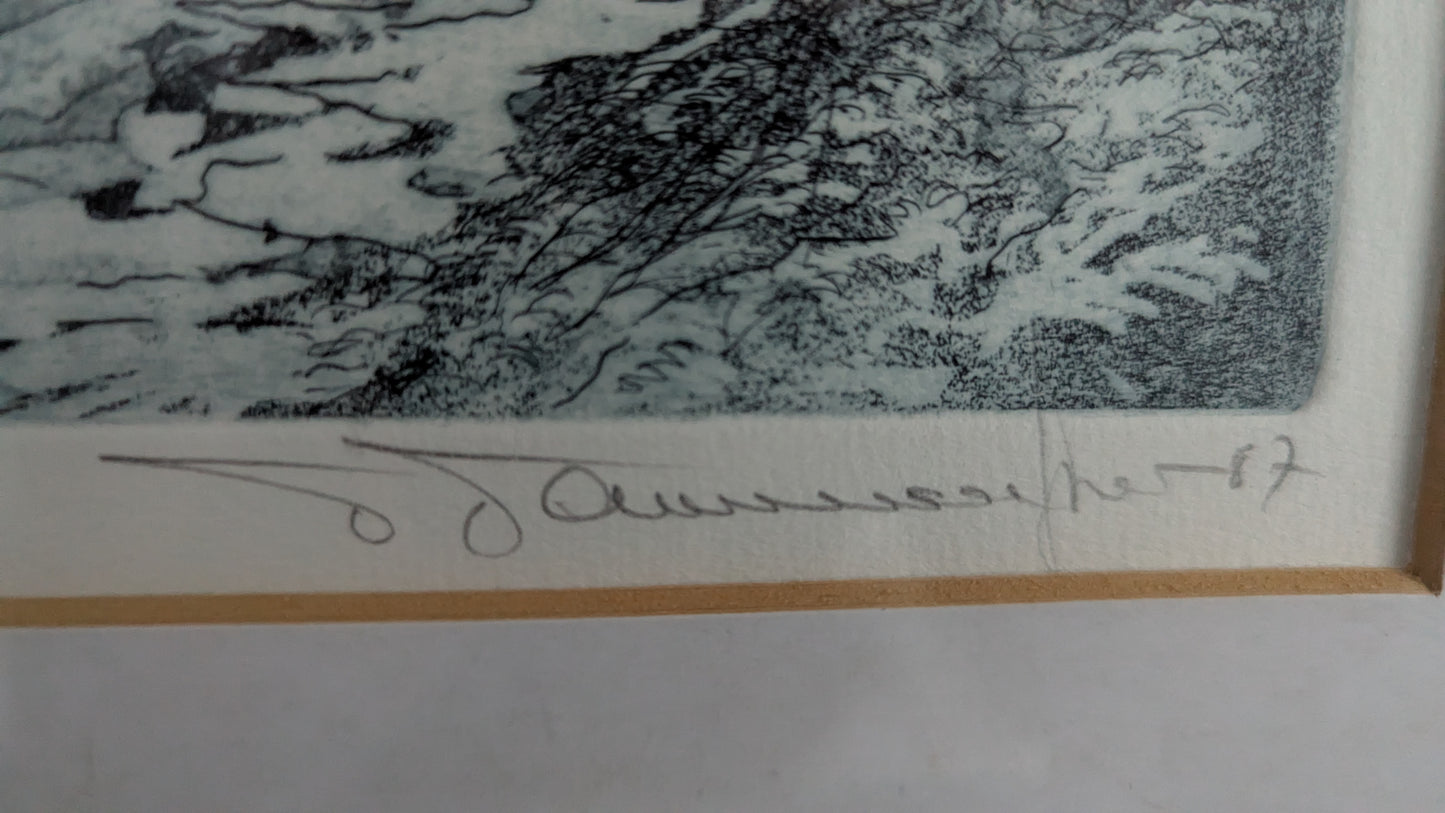 Tapani Tammenpää - Signeerattu Grafiikka (1987, Koevedos)