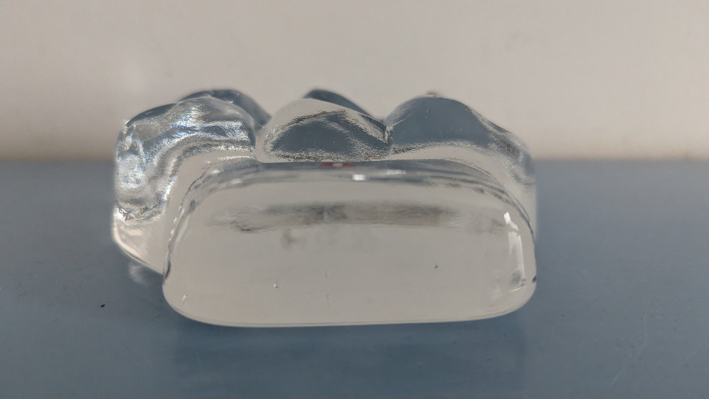Iittala Lintupuu Lasipaino / Paperipaino (Jorma Vennola, 1979-1982)