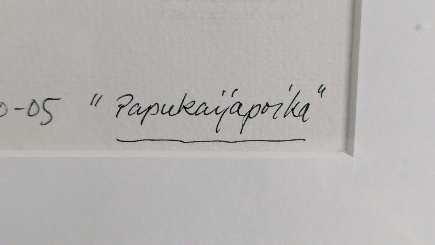 Pentti Koivikko - Papukaijapoika (Signeerattu Sekatekniikka 2007)
