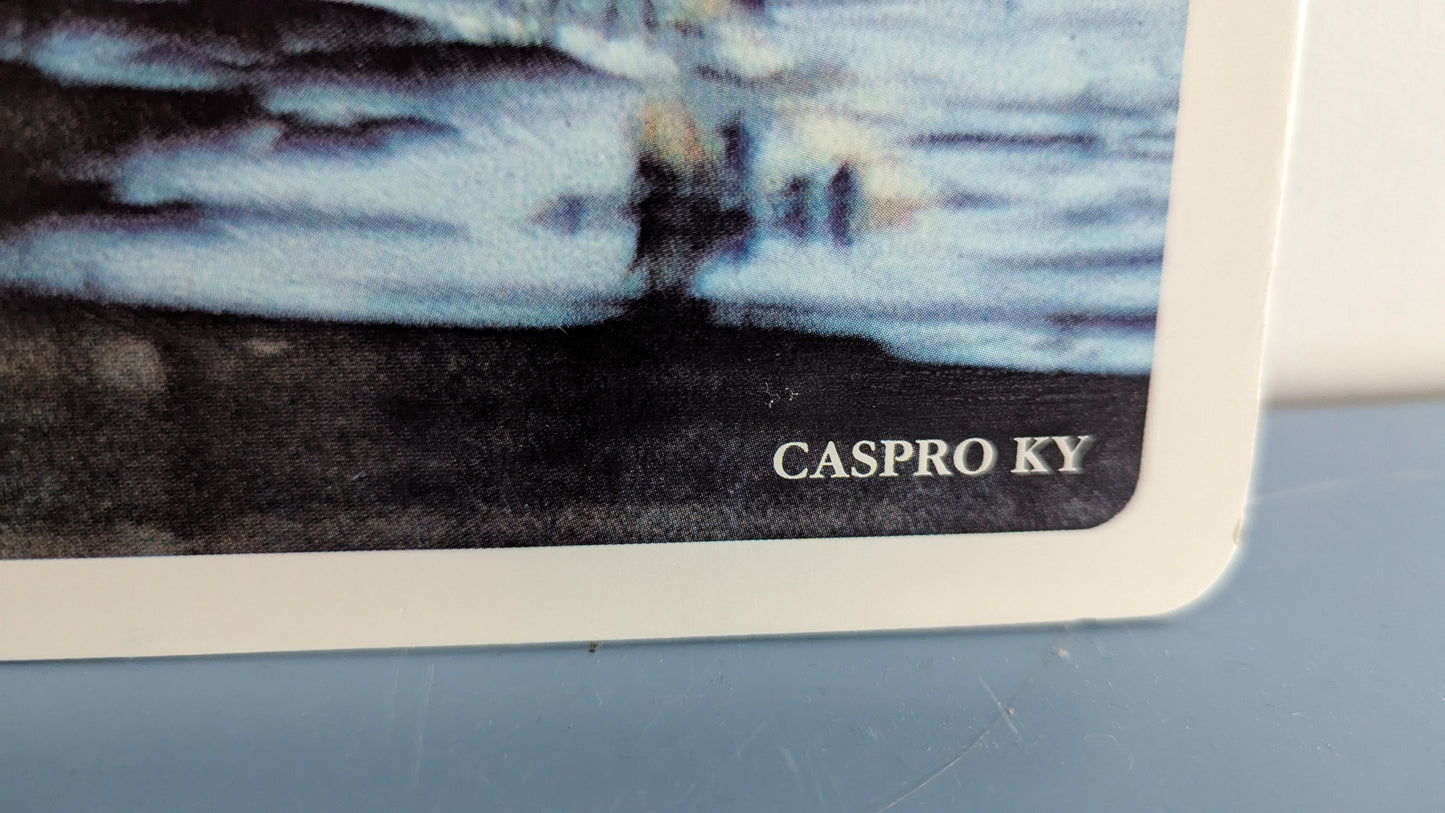 Opetustaulu - Majava (Caspro Ky)