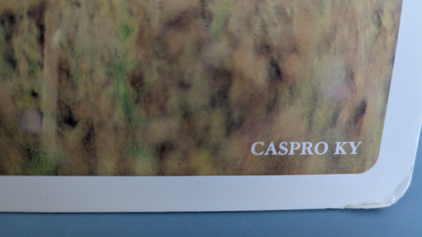 Opetustaulu - Hirvi (Caspro Ky)