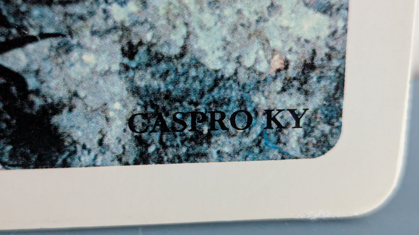 Opetustaulu - Leppäpirkko, Maakiitäjä ja Sittiäinen (Caspro Ky)