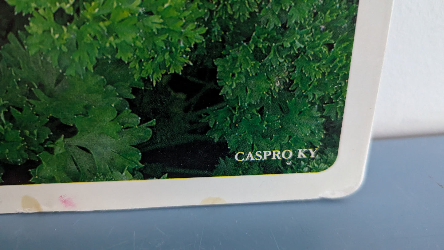 Opetustaulu Puutarha - Tilli, Retiisi ja Persilja (Caspro Ky)