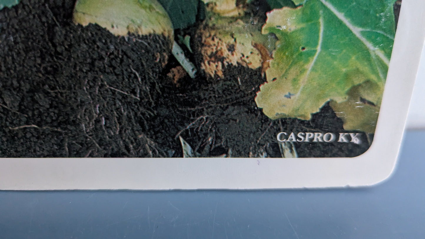 Opetustaulu Puutarha - Nauris ja Lanttu (Caspro Ky)