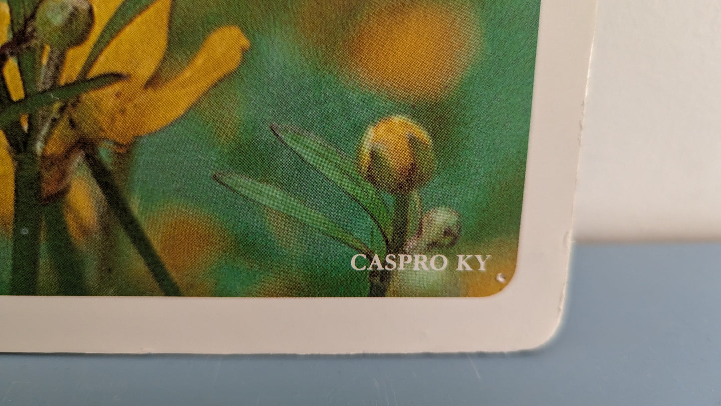 Opetustaulu Syksy - Niittyleinikki (Caspro Ky)