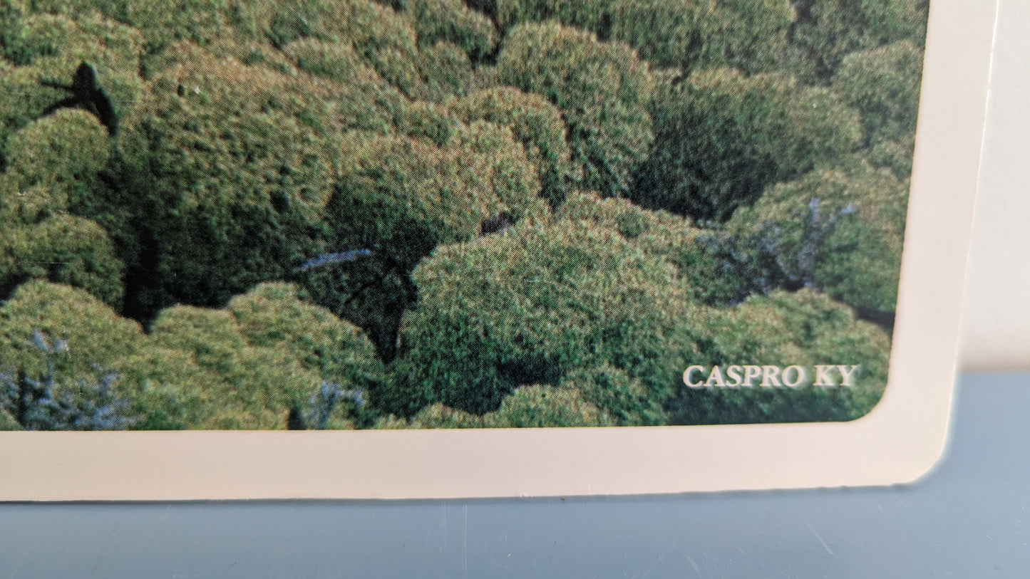 Opetustaulu Talvehtiminen - Havu- ja Lehtipuut jne (Caspro Ky)