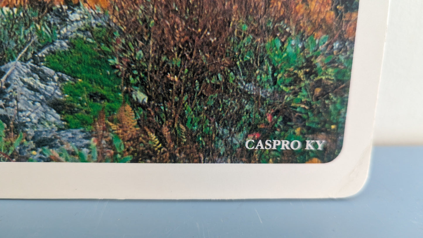 Opetustaulu Syksy - Lehti ja Havupuita (Caspro Ky)