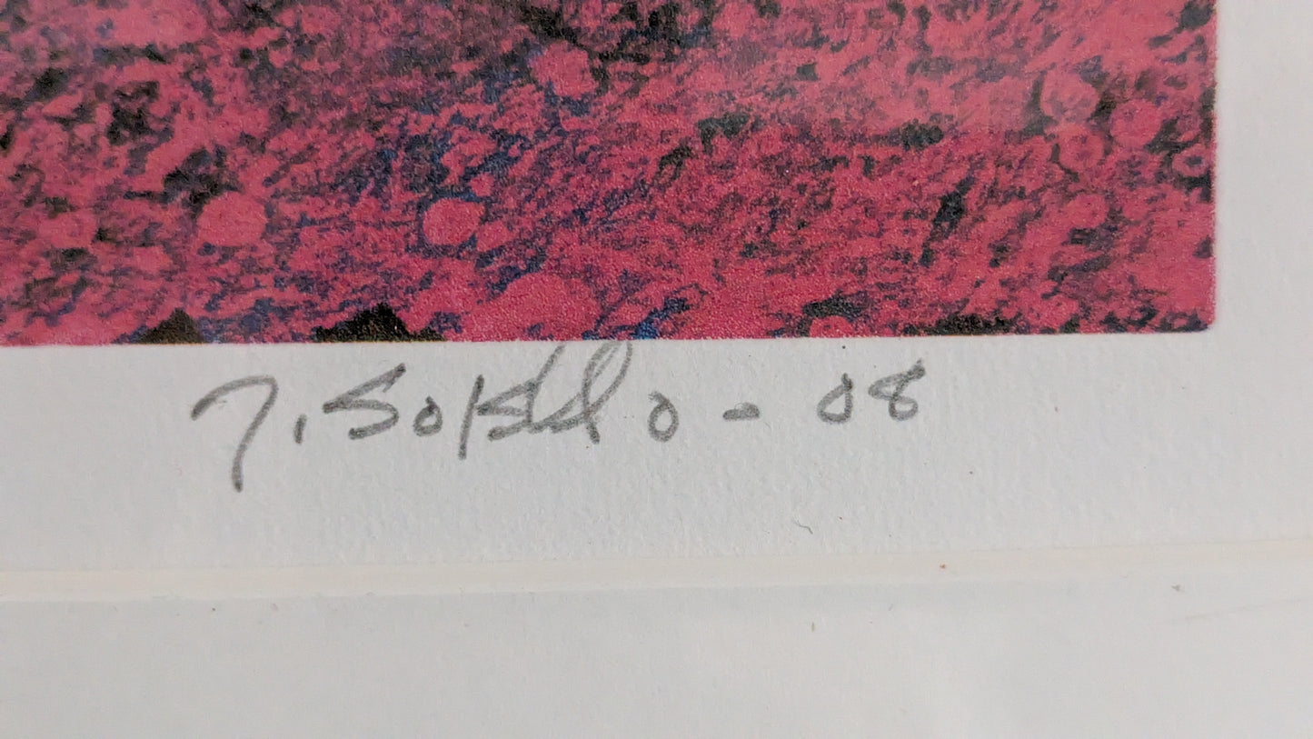 Juha Soisalo - Signeerattu ja Numeroitu 22/100 Grafiikka (2008)