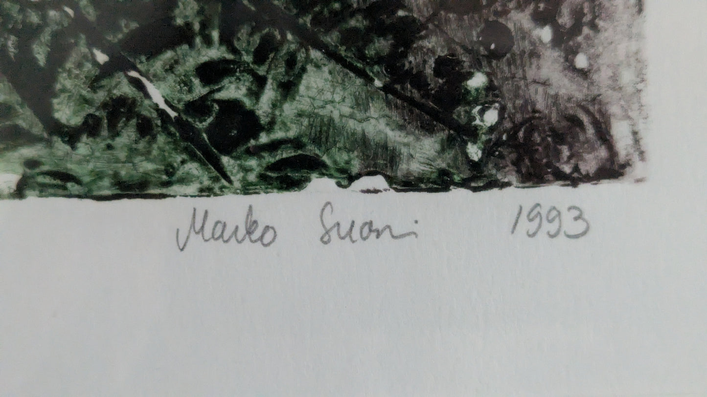 Marko Suomi - Hiilikauden Elämää (Signeerattu Grafiikka 1993)