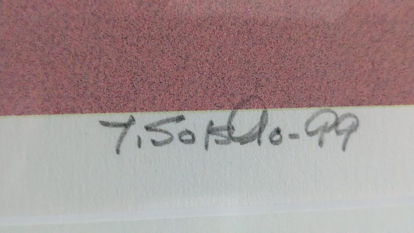 Juha Soisalo - Signeerattu ja Numeroitu 77/100 Grafiikka (1999)