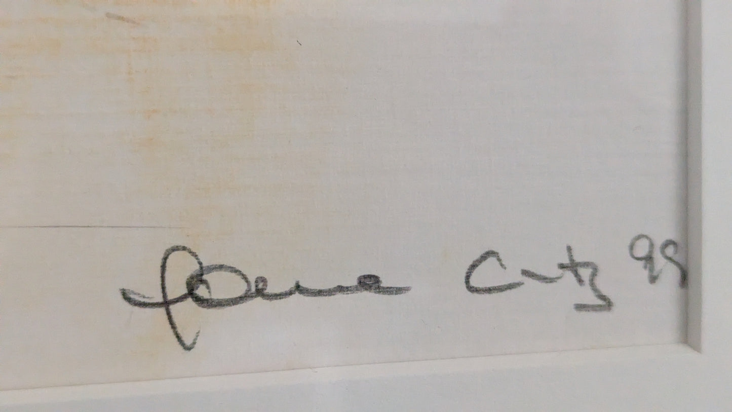 Johanna Cedercreutz - Signeerattu Sekatekniikkatyö (1999)
