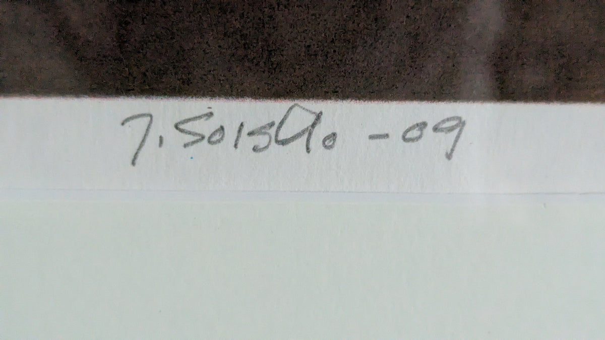 Juha Soisalo - Signeerattu ja Numeroitu Grafiikka (2009)