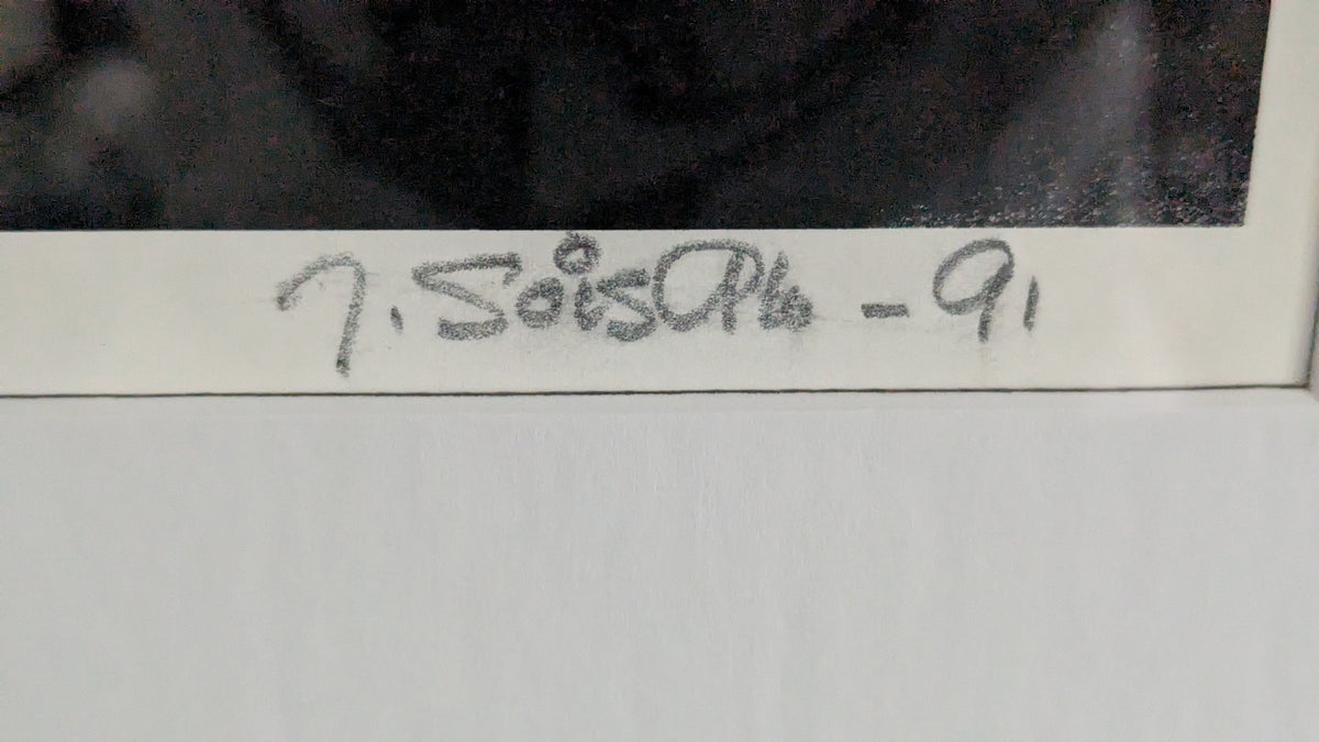 Juha Soisalo - Signeerattu Grafiikka (1991)