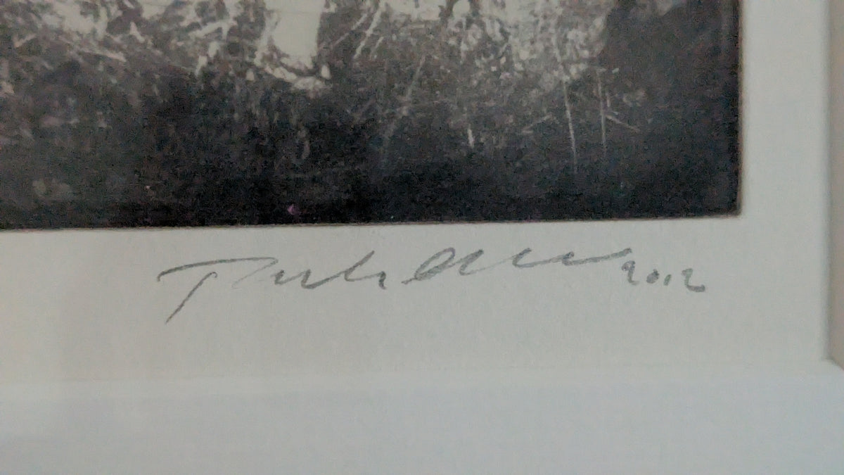 Tuula Lehtinen - Monrepos III (Signeerattu Grafiikka 2012)