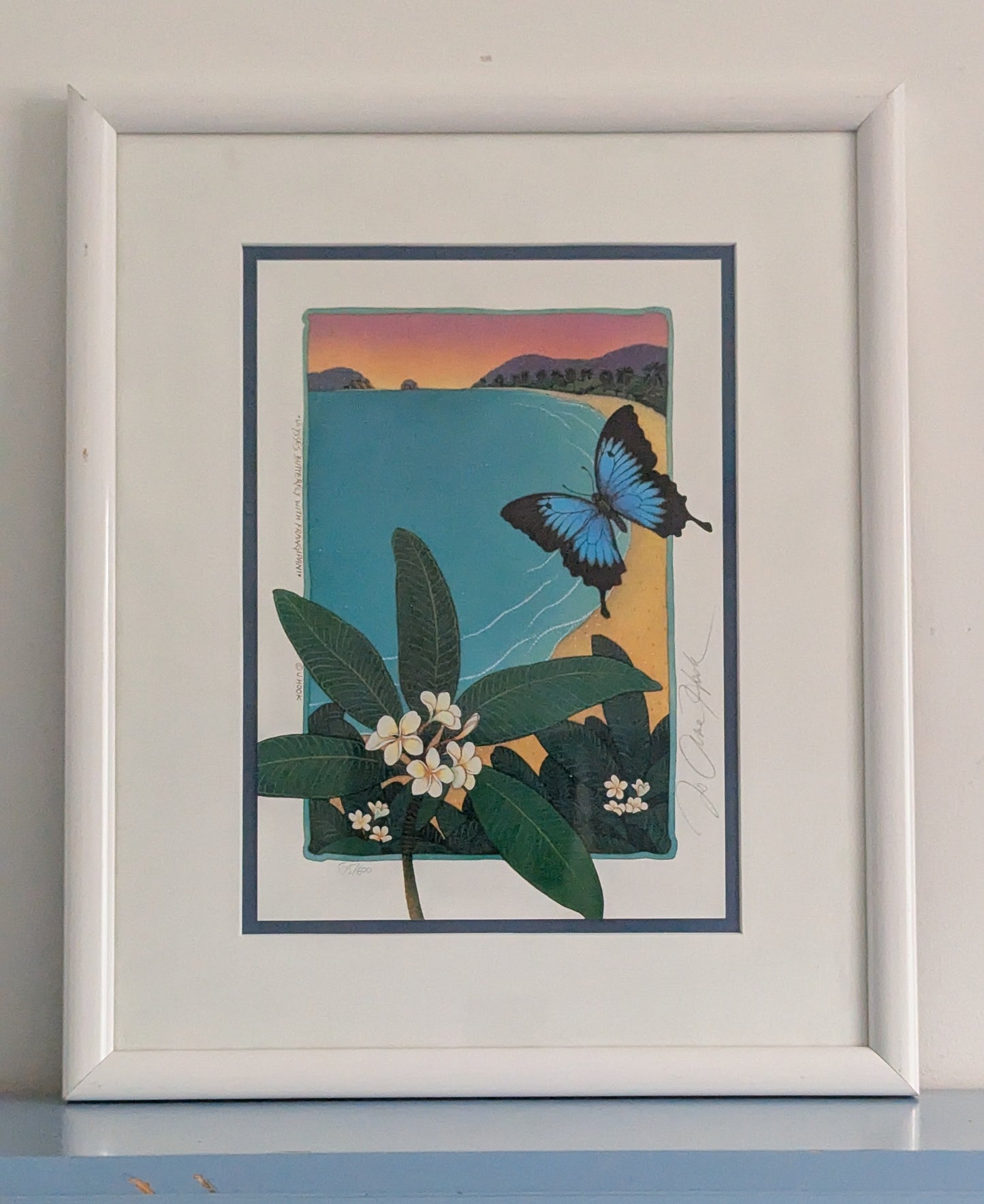 Jo Anne Hook - Ulysses Butterfly with Frangipani (Signeerattu Grafiikka)