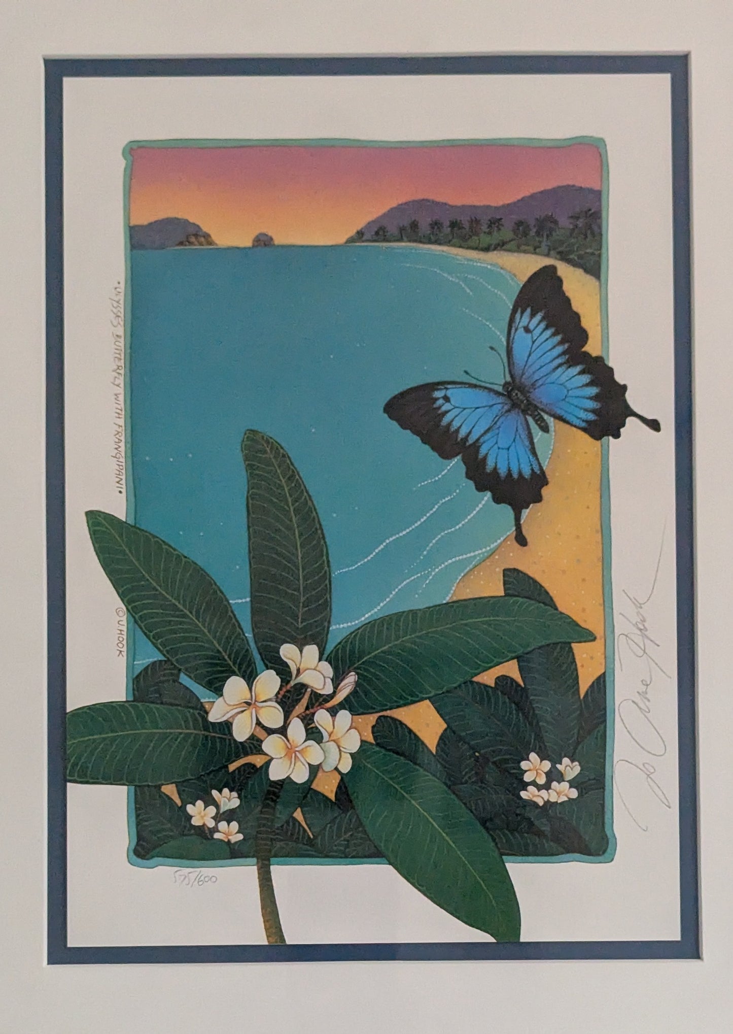 Jo Anne Hook - Ulysses Butterfly with Frangipani (Signeerattu Grafiikka)