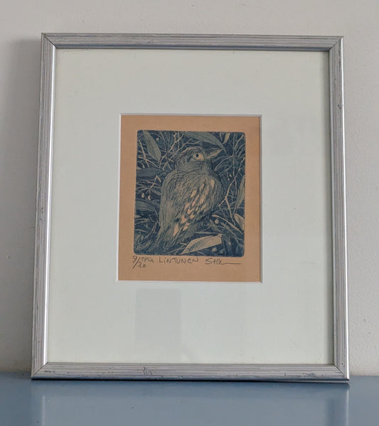 Sirpa-Helena Viljanen - Lintunen (Signeerattu Grafiikka)
